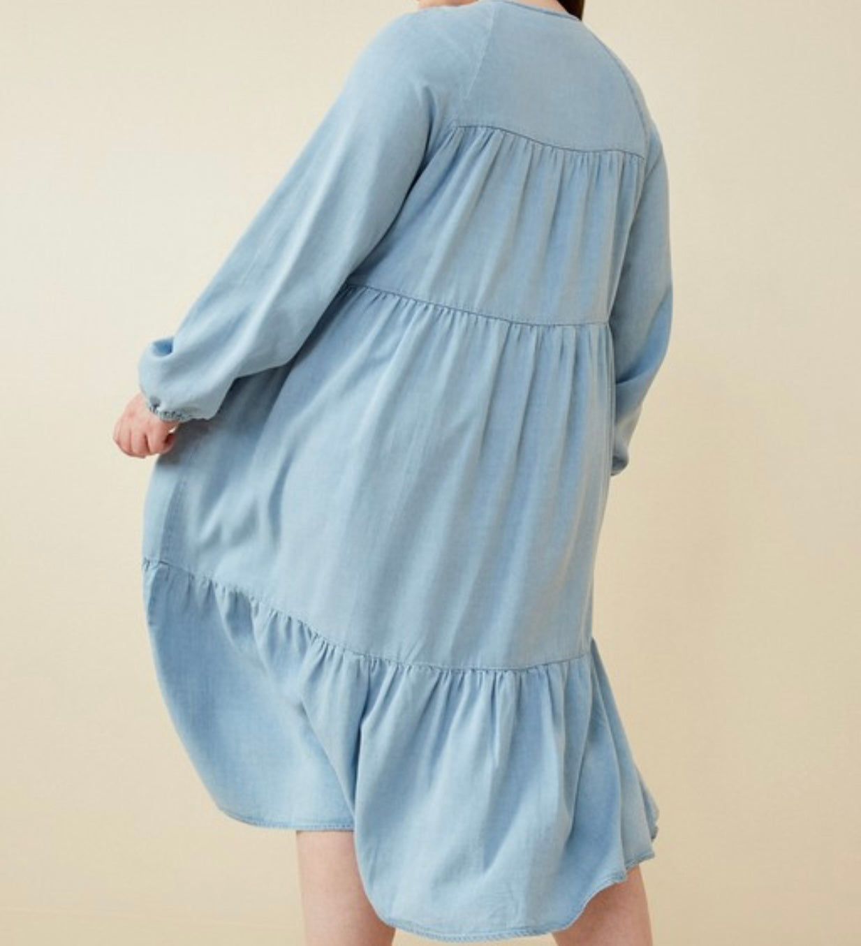 “Picnic in the Park” Plus Denim Dress