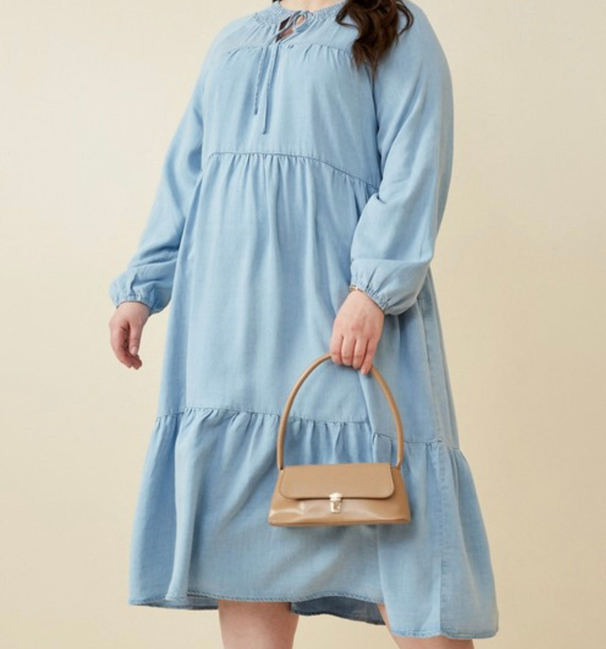 “Picnic in the Park” Plus Denim Dress